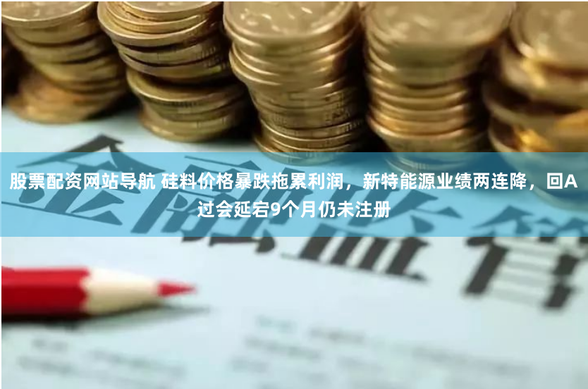 股票配资网站导航 硅料价格暴跌拖累利润，新特能源业绩两连降，回A过会延宕9个月仍未注册
